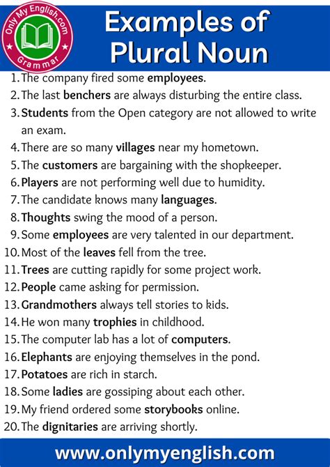 examples of plural nouns.